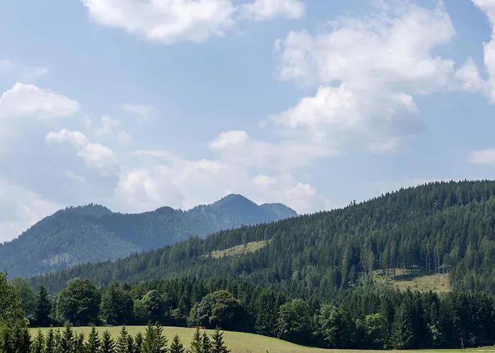 Hungasthaus 03 公寓 玛利亚采尔